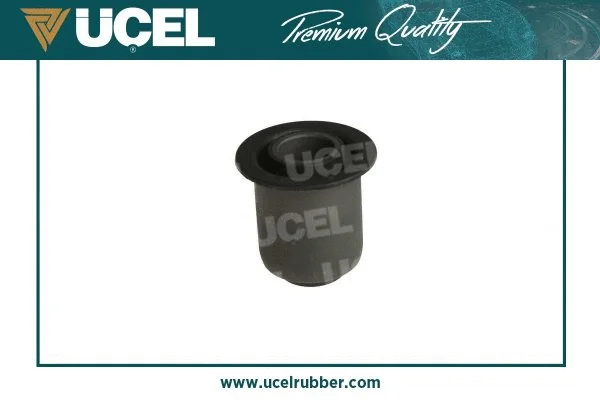 Mounting, control/trailing arm
