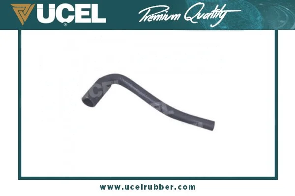Radiator Hose (75105)