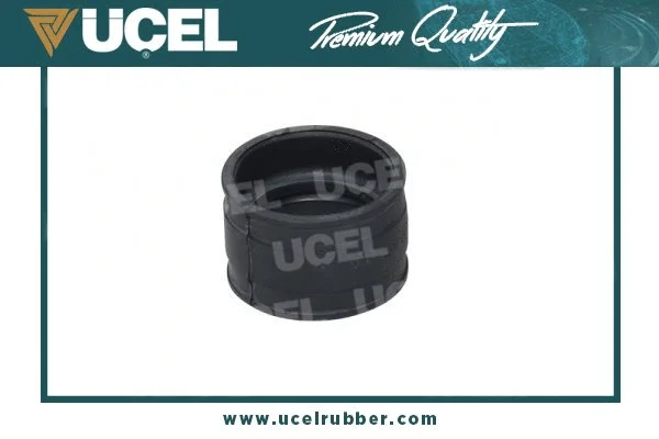 Charge Air Hose (65500)