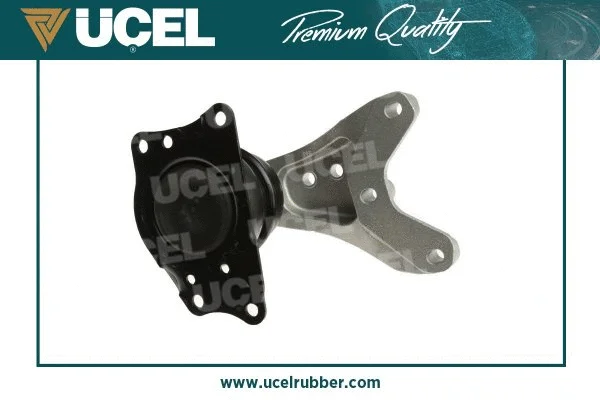Mounting, engine