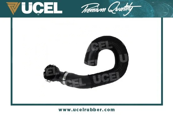 Radiator Hose (35831)