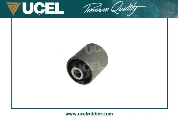 Mounting, control/trailing arm