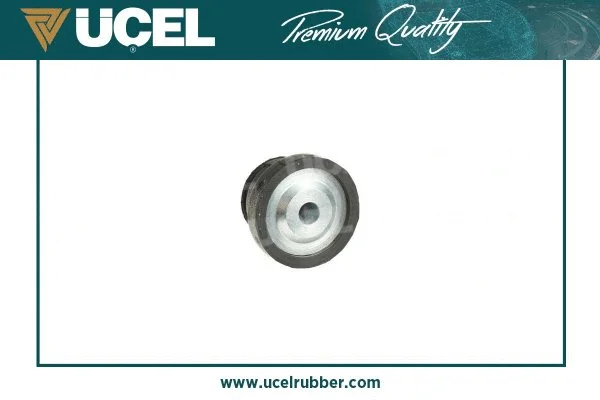 Mounting, control/trailing arm