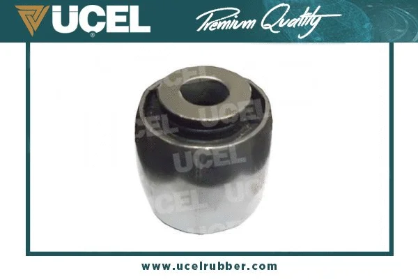 Bushing, axle beam (10979)