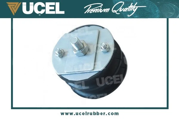 Mounting, engine (30355)