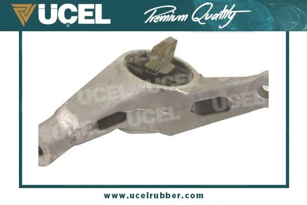 Mounting, engine (20109)