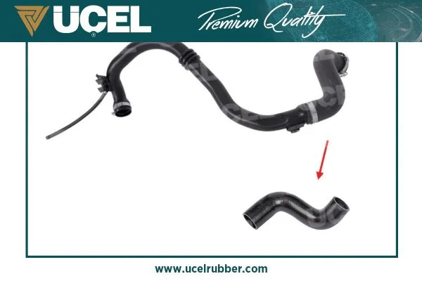 Charge Air Hose (16048)