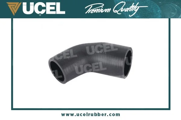 Radiator Hose (51265)