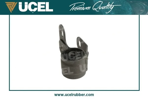 Mounting, control/trailing arm