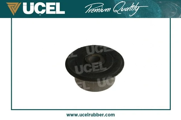 Bushing, leaf spring