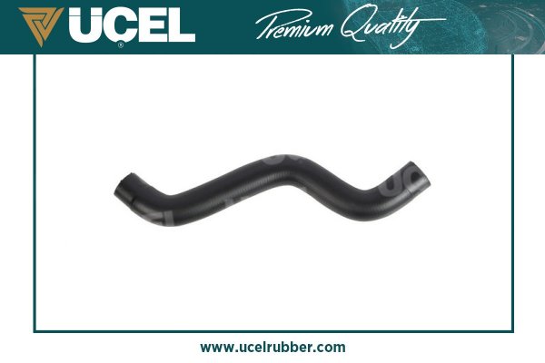 Radiator Hose (35893)