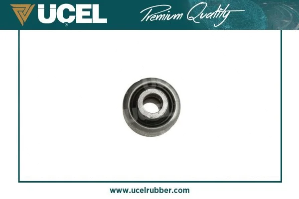 Mounting, control/trailing arm
