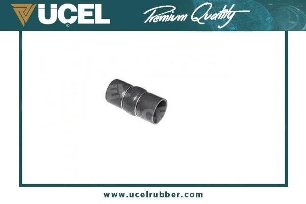 Charge Air Hose (15938)