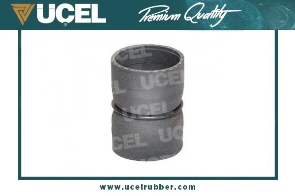Charge Air Hose (52348)