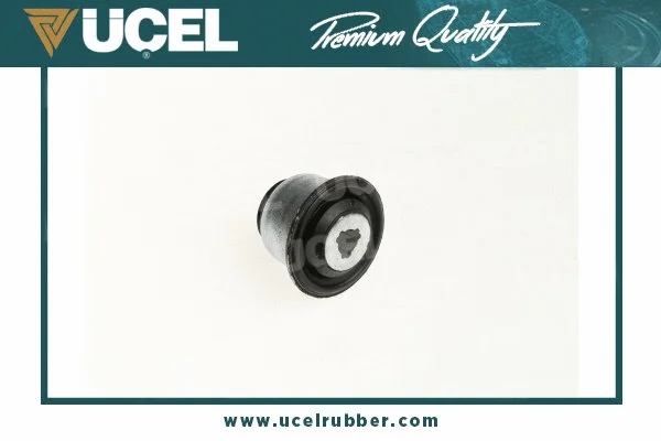 Mounting, control/trailing arm