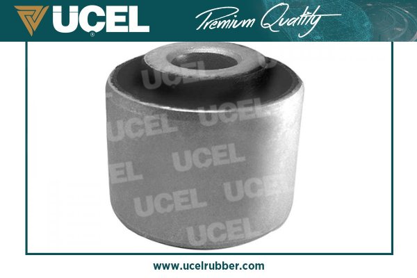 Mounting, control/trailing arm (76126)