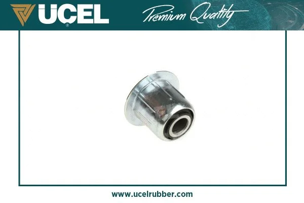 Bushing, leaf spring