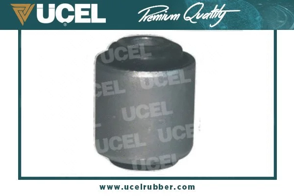 Mounting, control/trailing arm (10509)