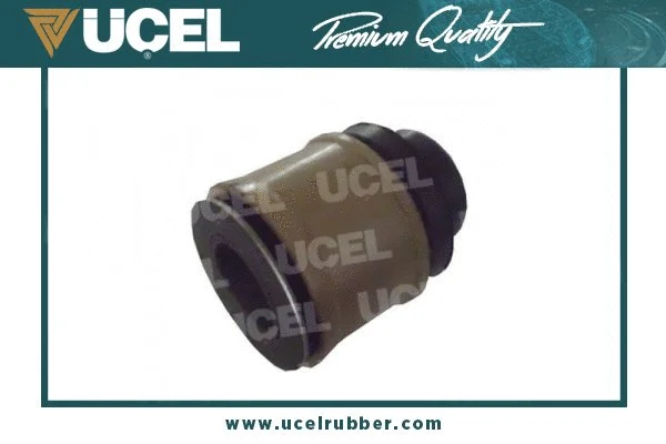 Bushing, axle beam (10672)