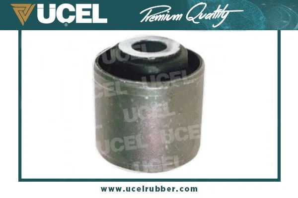 Mounting, control/trailing arm (10491)