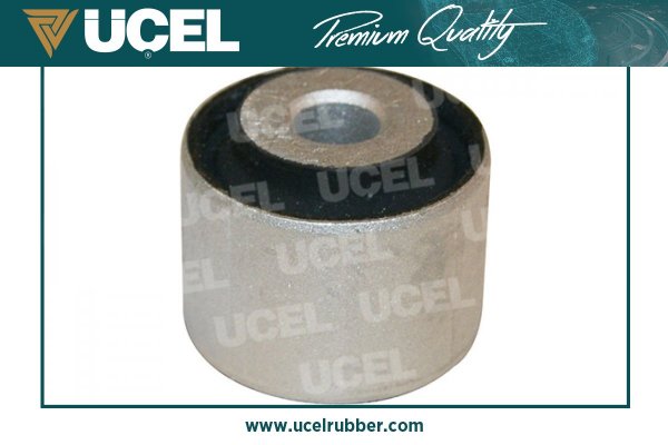 Mounting, control/trailing arm (76129)