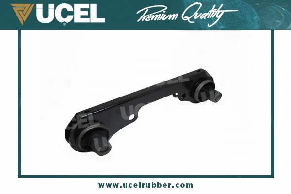 Mounting, differential (10903)