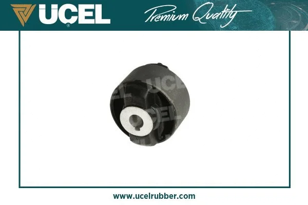 Mounting, control/trailing arm