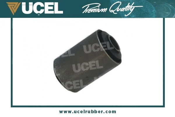 Mounting, control/trailing arm (10227A)