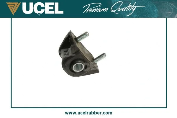 Mounting, control/trailing arm