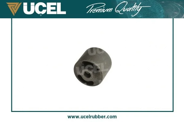 Mounting, control/trailing arm