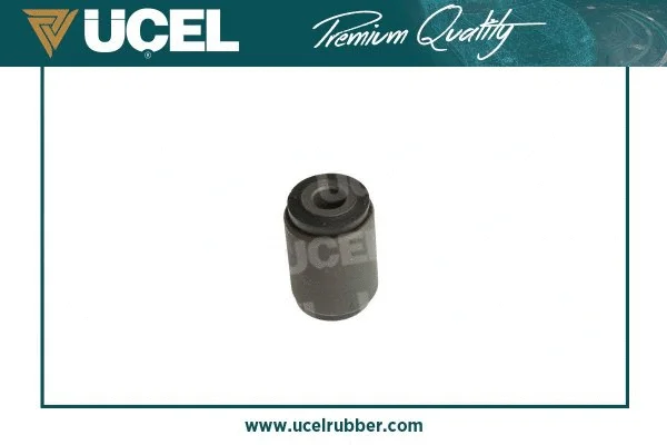 Mounting, control/trailing arm
