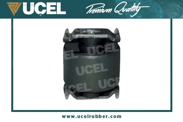 Mounting, control/trailing arm (10814)