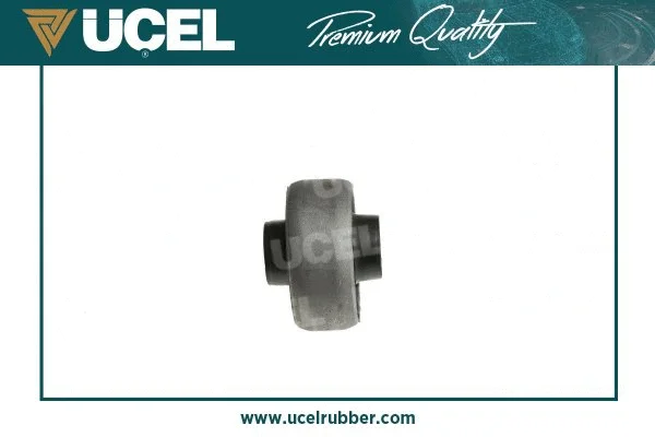 Mounting, control/trailing arm