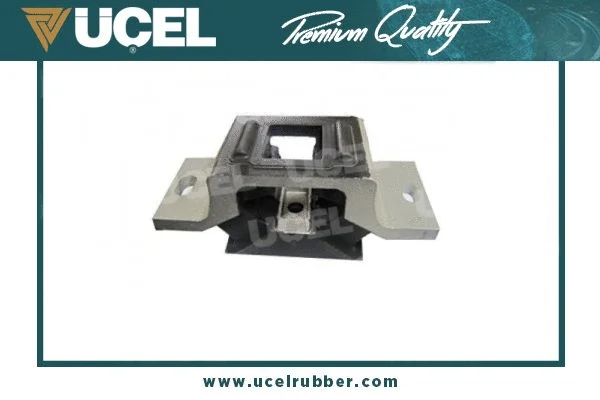 Mounting, engine (10881)