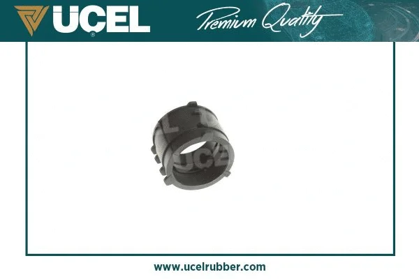 Charge Air Hose (65352)