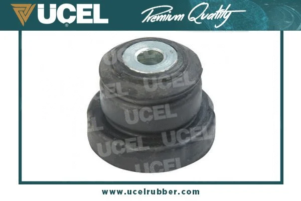 Mounting, control/trailing arm (31700)