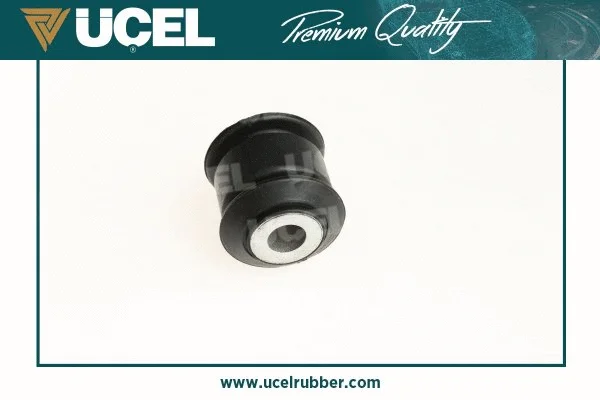 Mounting, control/trailing arm