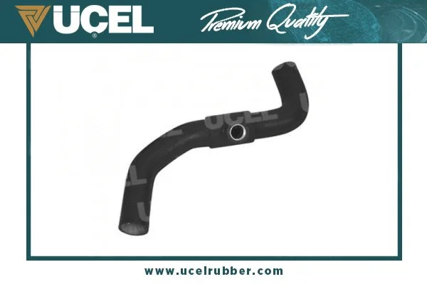 Radiator Hose (21101)