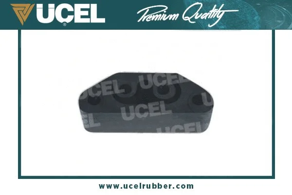 Mount, exhaust system (10207)