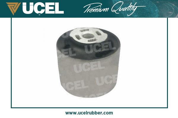 Mounting, control/trailing arm (99168)