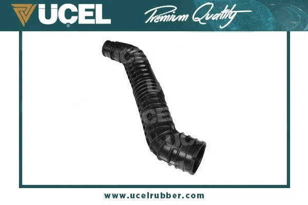 Intake Hose, air filter (51237)