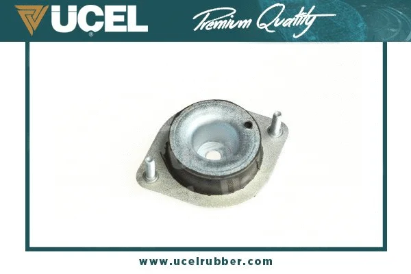Mounting, engine