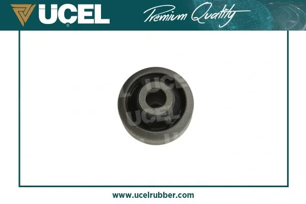 Mounting, control/trailing arm