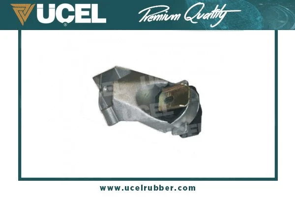 Mounting, engine (10507)