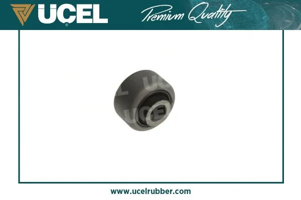 Mounting, control/trailing arm