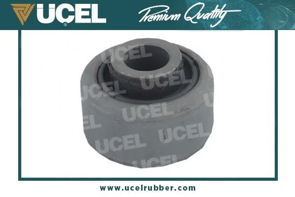 Mounting, control/trailing arm (10813A)