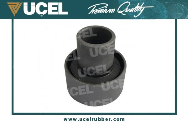Bushing, axle beam (10713)