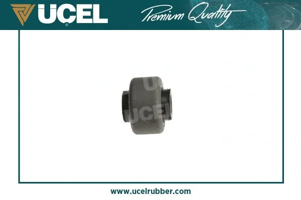 Mounting, control/trailing arm