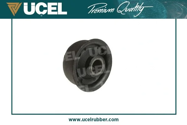 Mounting, control/trailing arm