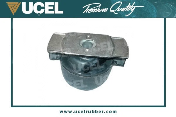 Bushing, axle beam (10823A)